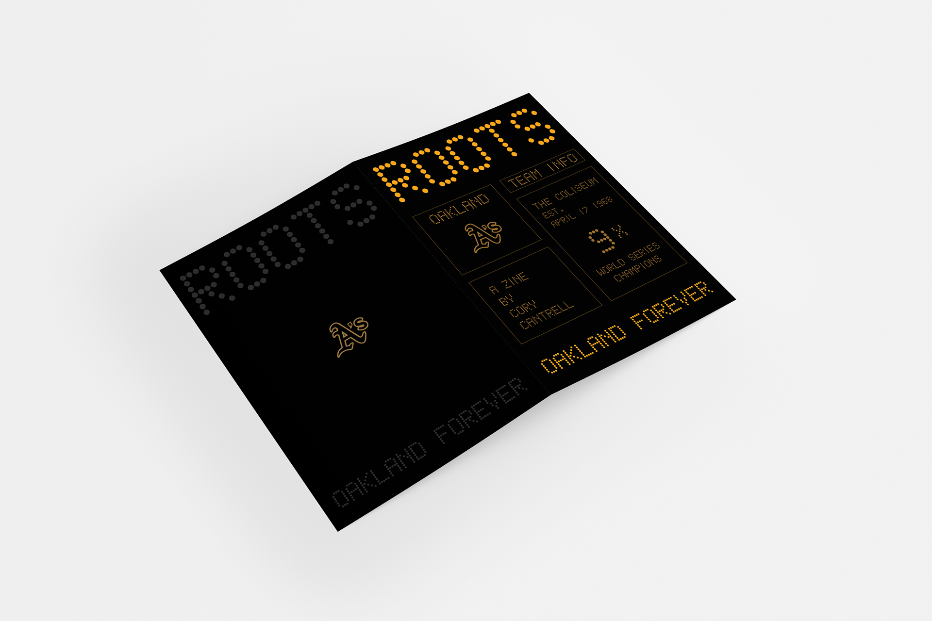 Roots_Zine